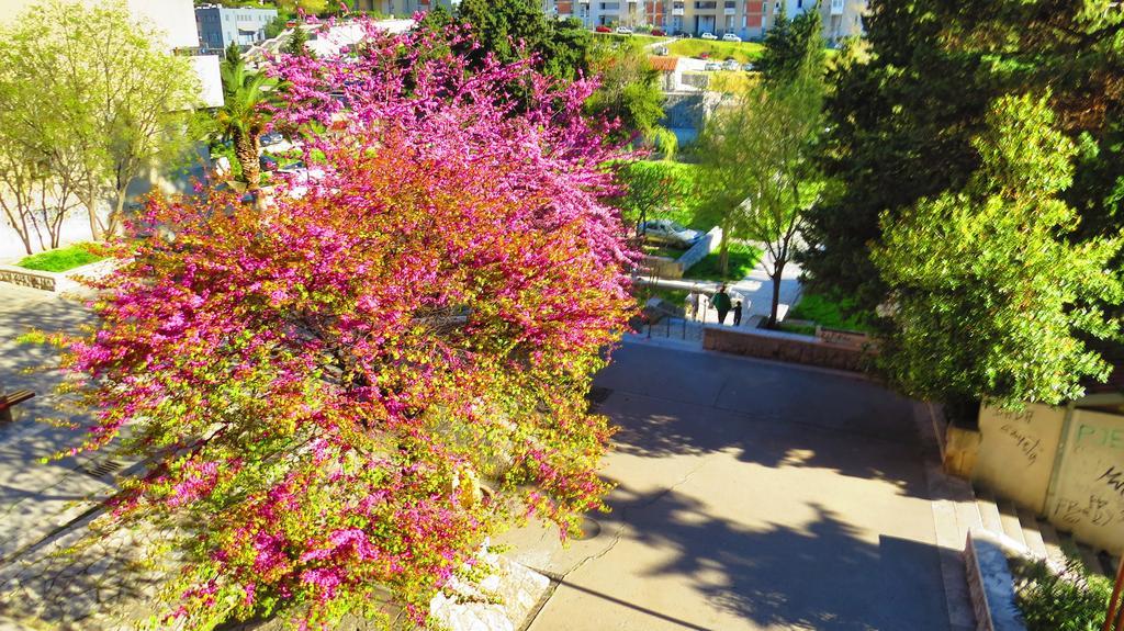 Apartment Priska سبليت الغرفة الصورة